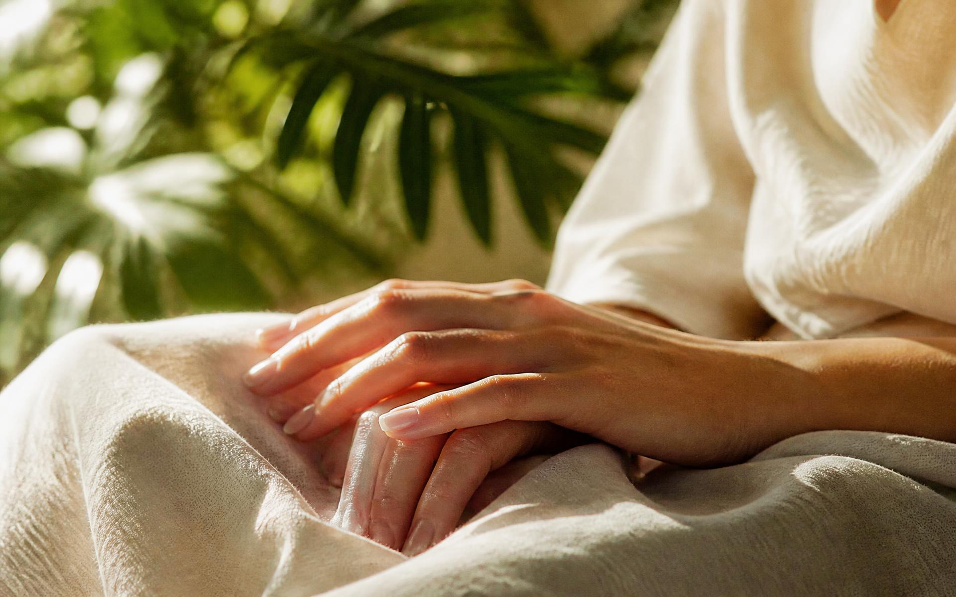 Woman's hands resting calmly in warm morning light beside green botanicals
